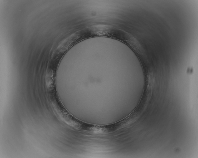 X0000115330073200911161819