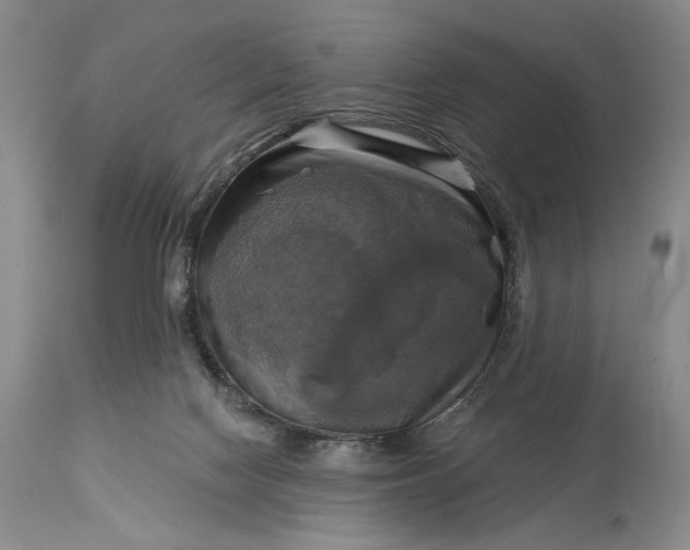 X0000115330074200911161819