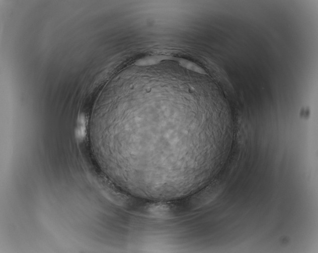 X0000115330075200911161819