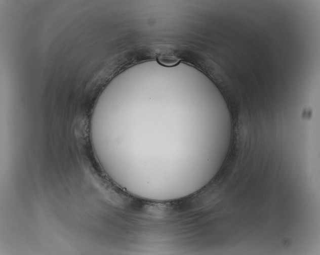 X0000115330079200911161819