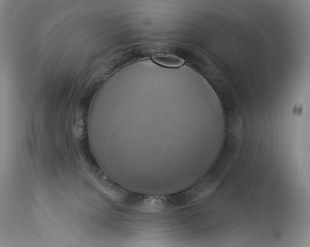 X0000115330080200911161819