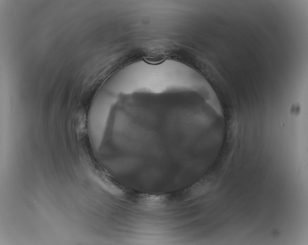 X0000115330081200911161819