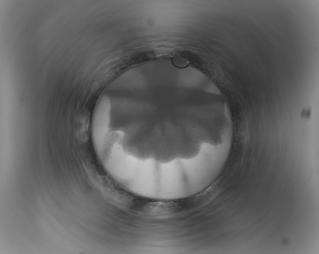 X0000115330082200911161819