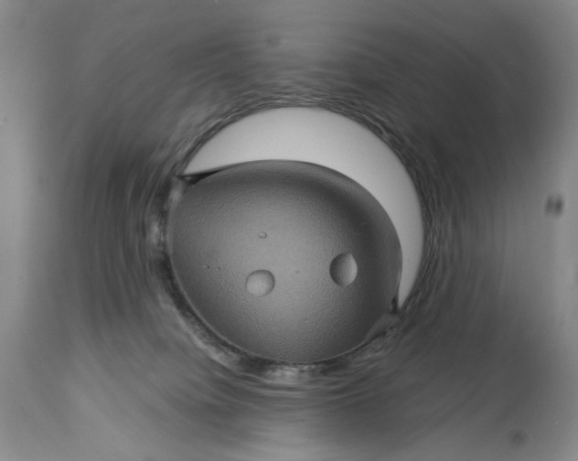 X0000115330084200911161819