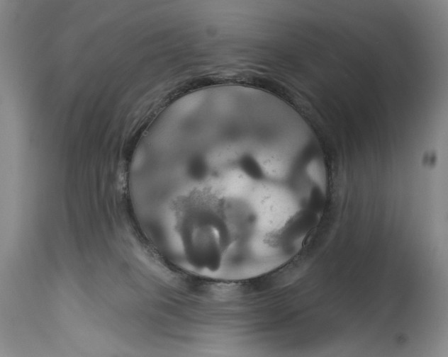 X0000115330085200911161819