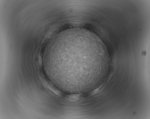 X0000115330086200911161819