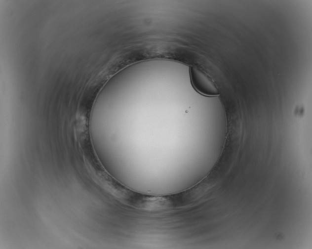 X0000115330087200911161819