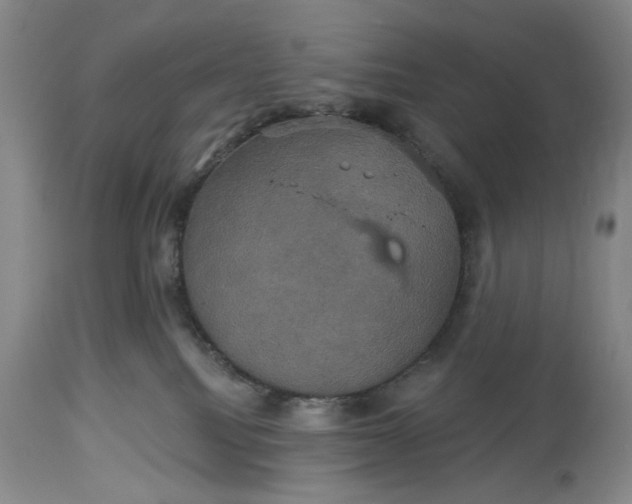 X0000115330088200911161819