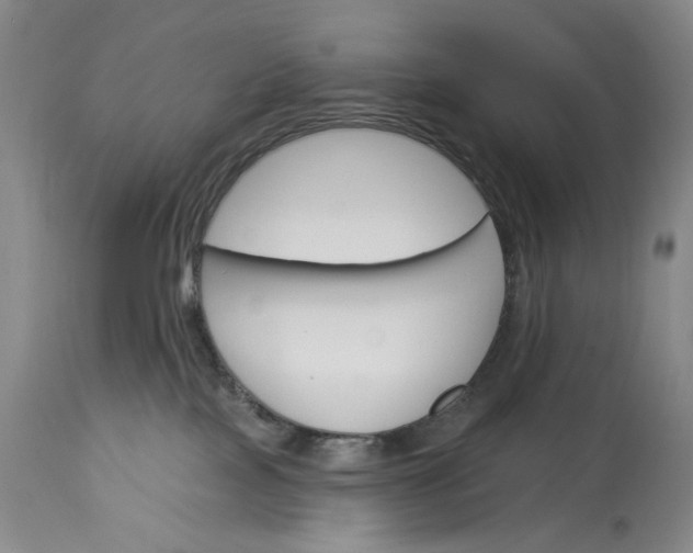 X0000115330089200911161819