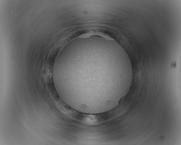 X0000115330091200911161819