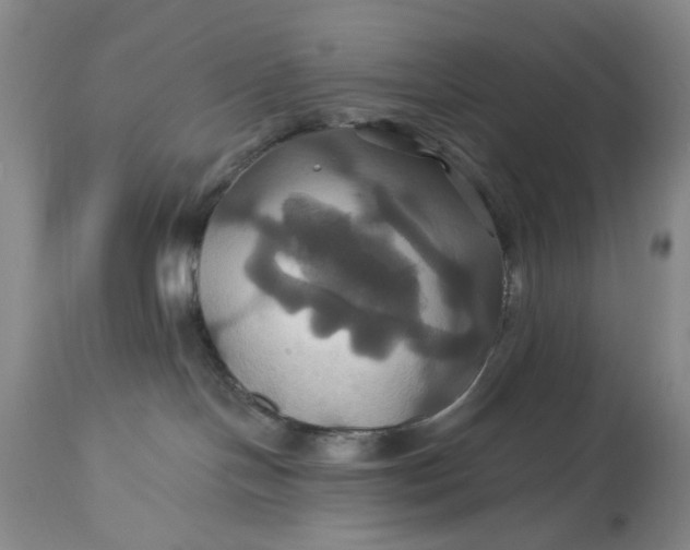 X0000115330094200911161819