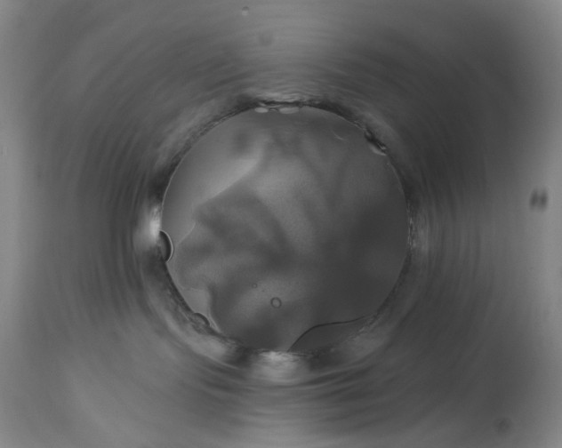 X0000115330095200911161819