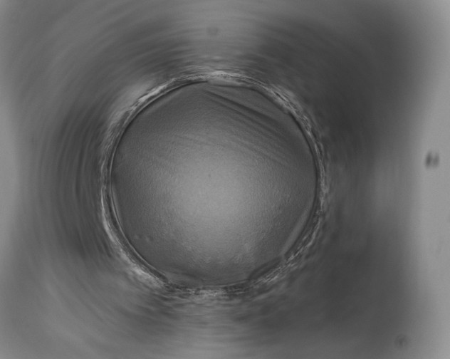 X0000115330097200911161818