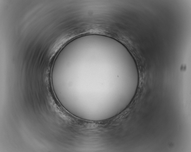 X0000115330098200911161818