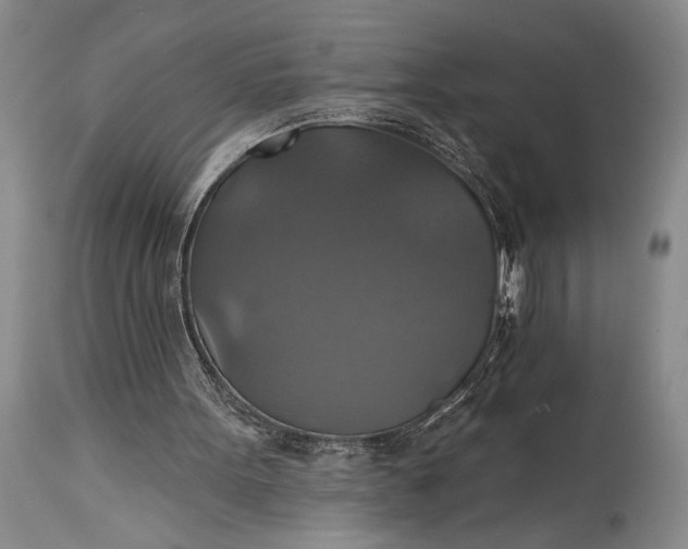 X0000115330099200911161818