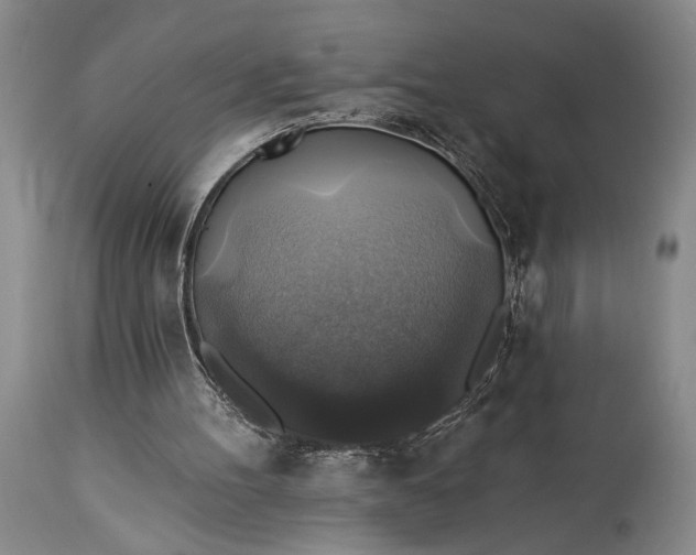 X0000115330100200911161818