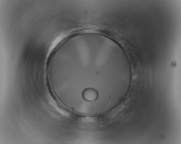 X0000115330102200911161818