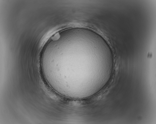 X0000115330103200911161818