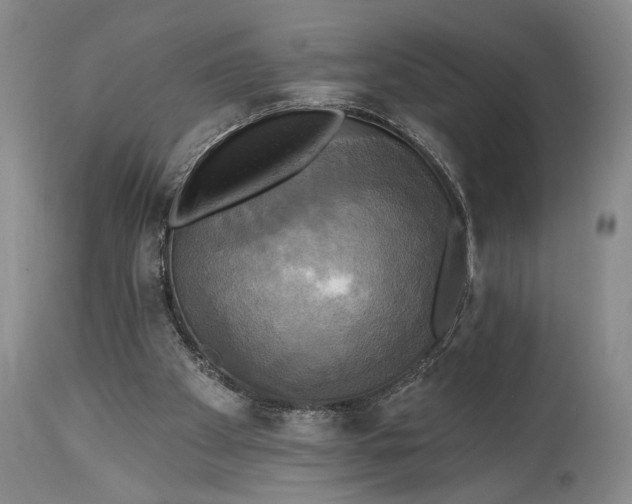 X0000115330105200911161818