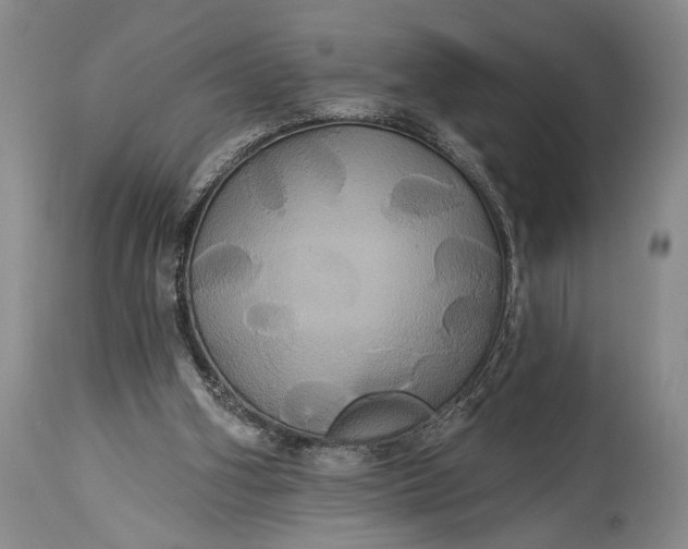 X0000115330106200911161818