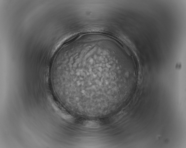 X0000115330107200911161818