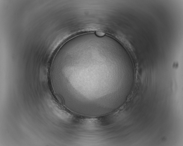 X0000115330108200911161818