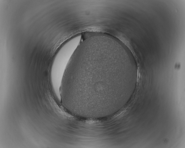 X0000115330109200911161818