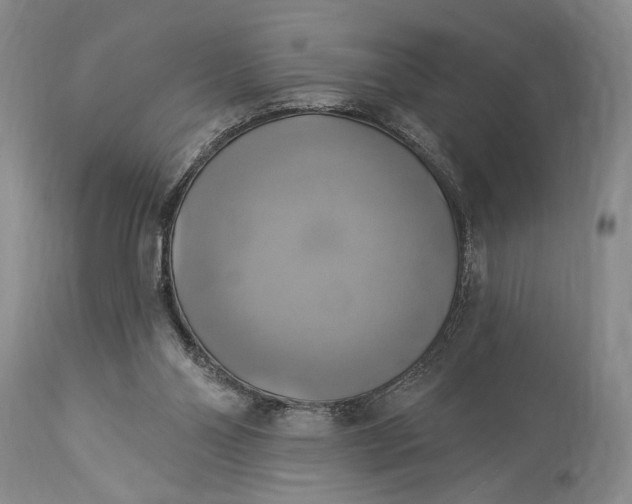 X0000115330110200911161818