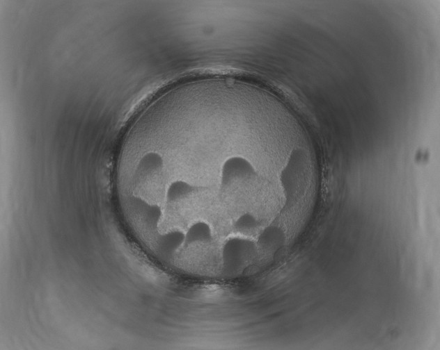 X0000115330111200911161818