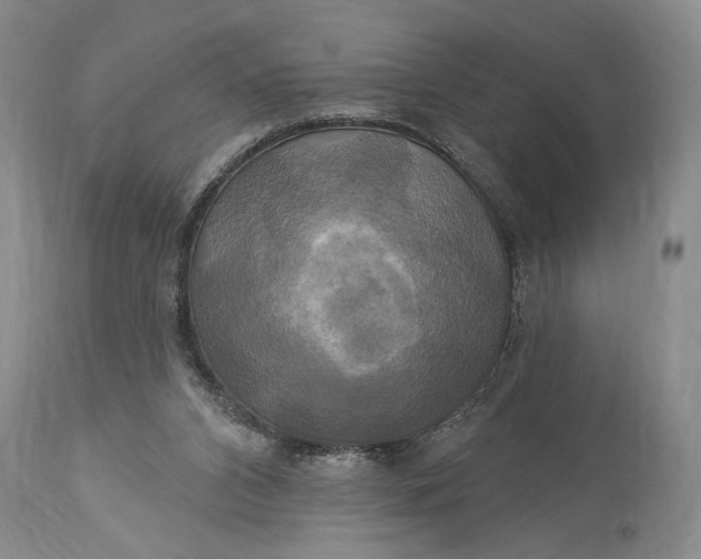 X0000115330112200911161818