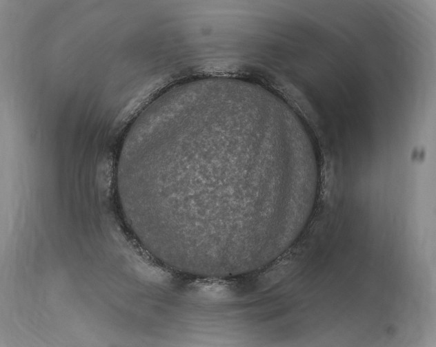 X0000115330113200911161818