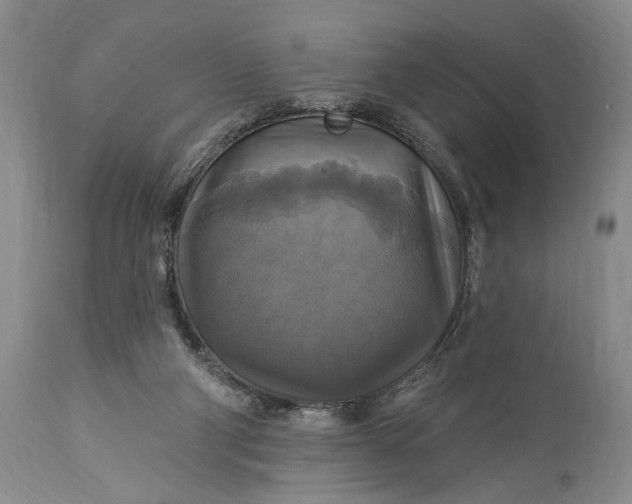 X0000115330114200911161818