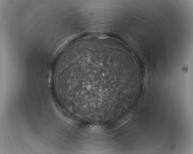 X0000115330115200911161818