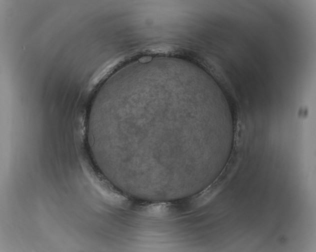 X0000115330116200911161818