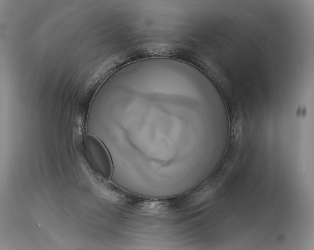 X0000115330117200911161818