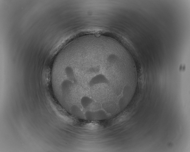 X0000115330119200911161818