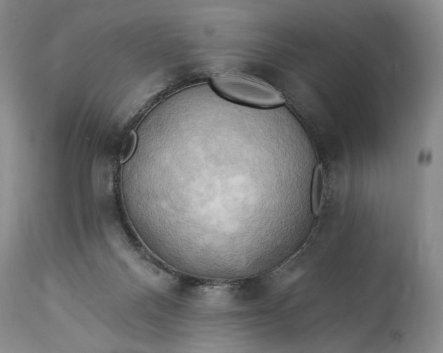 X0000115330120200911161818