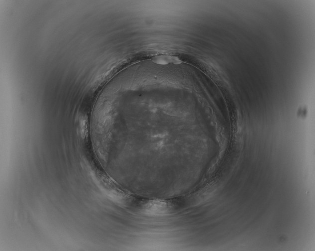 X0000115330123200911161818