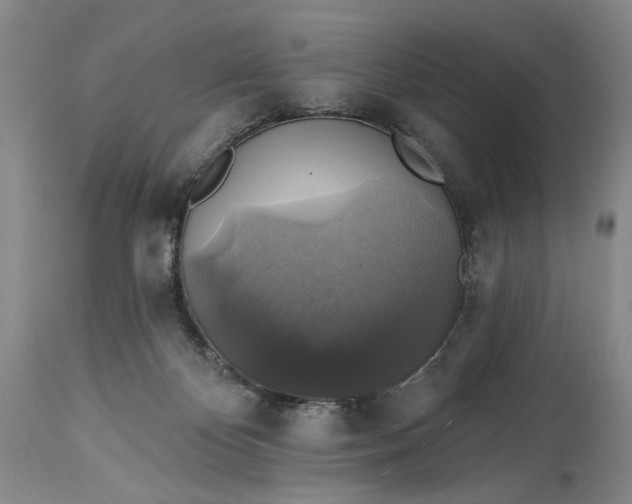 X0000115330124200911161818