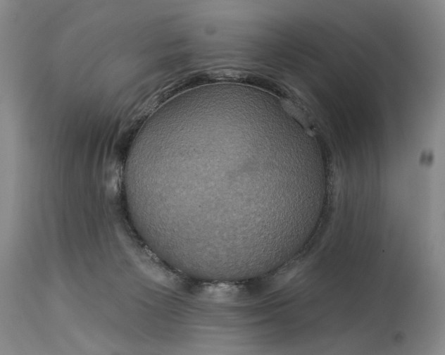 X0000115330125200911161818