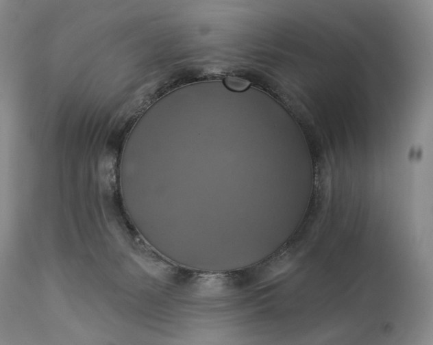 X0000115330127200911161818