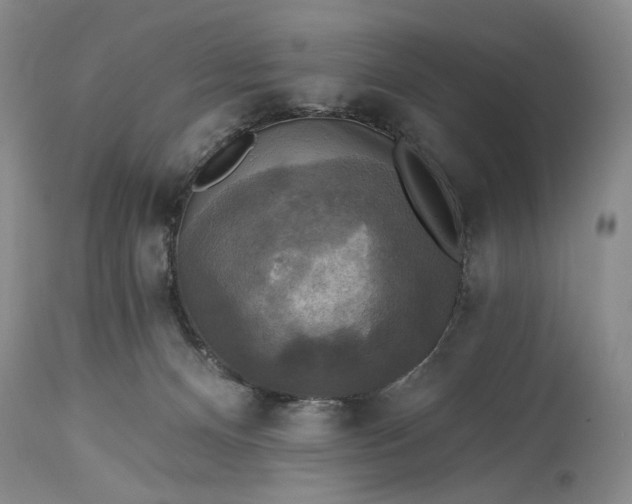 X0000115330128200911161818