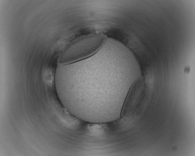 X0000115330129200911161818