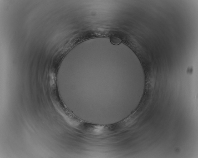 X0000115330130200911161818