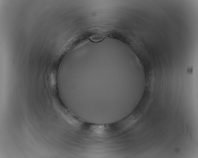 X0000115330131200911161818