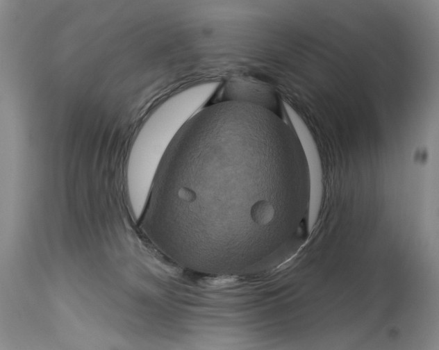 X0000115330132200911161818