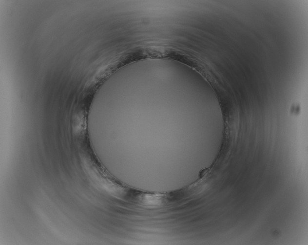 X0000115330134200911161818