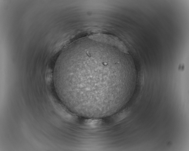 X0000115330135200911161818