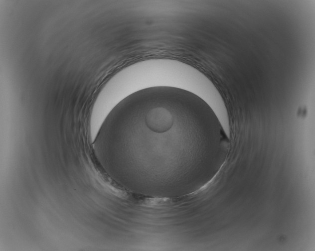 X0000115330136200911161818