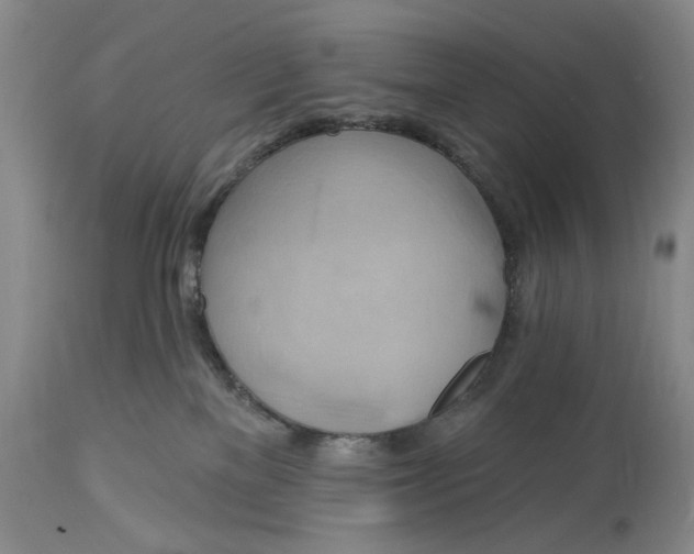 X0000115330137200911161818